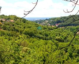 Građevinsko zemljište, Zagreb (Šestine), 877 m2,Z-1215